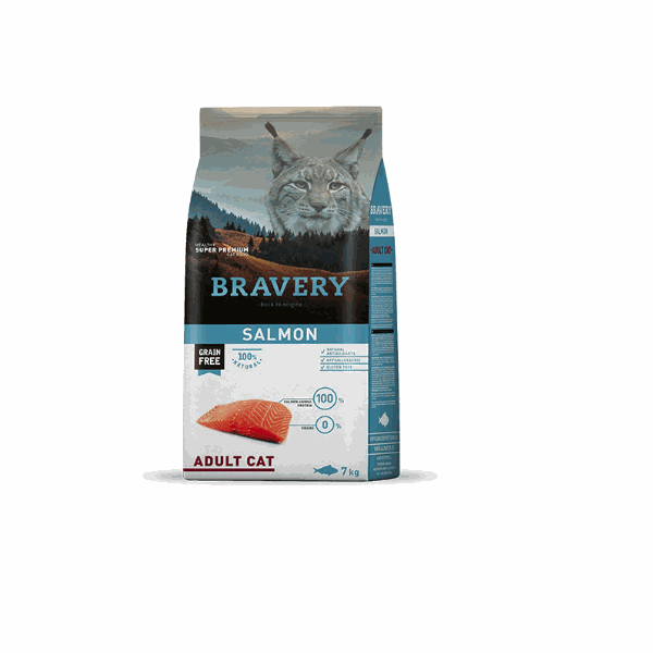 BRAVERY CAT ADULT SALMON 2KG