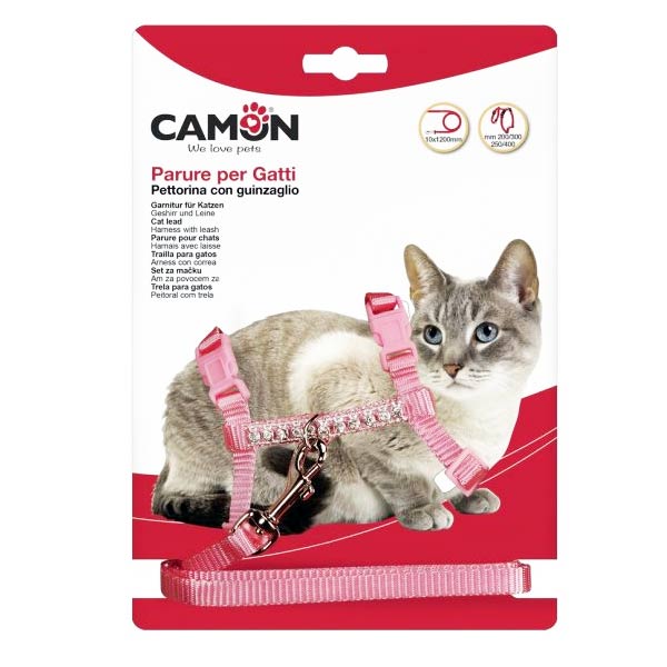 CAMON ARNES CORREA GATO DG019