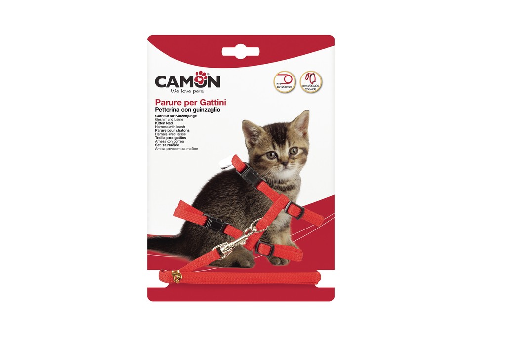 CAMON ARNES GATO DG005/A