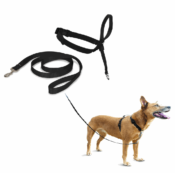 ARNES PETSAFE EASY-WALK XL NEGRO.TI