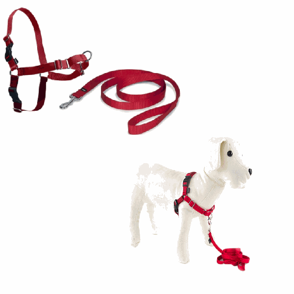 ARNES PETSAFE EASY-WALK S ROJO.TI